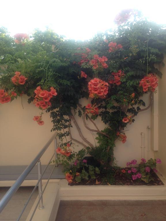 Apartment Anna Agia Marina (Crete)