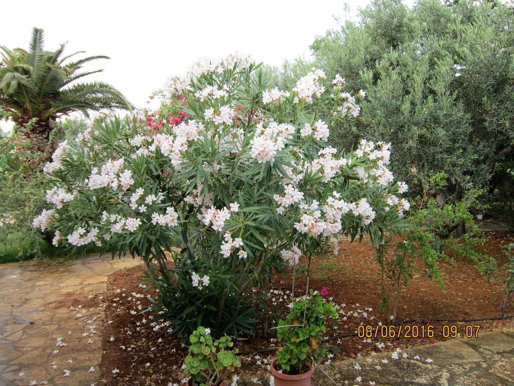 Holiday home Yianna's Gerani (Rethymno)
