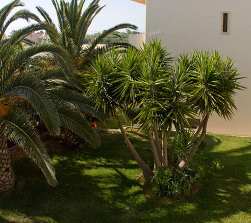 Olga Aparthotel Maleme (Crete)
