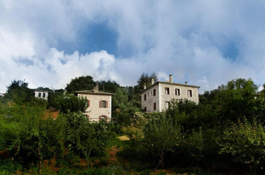 Amanita Boutique 4*