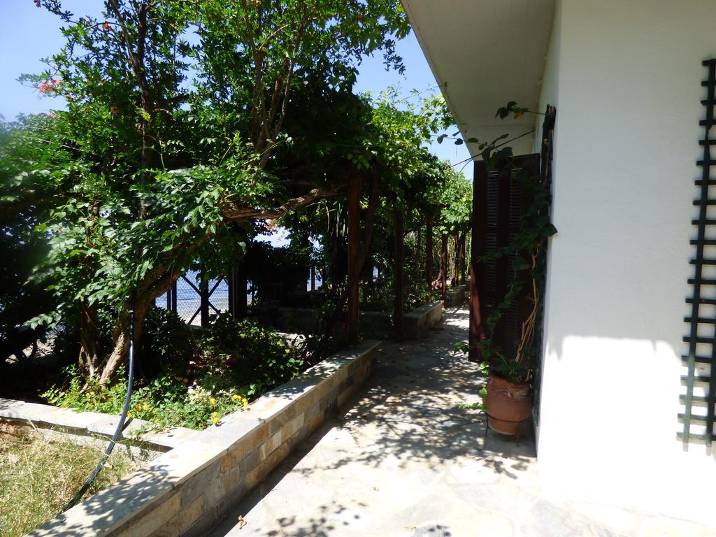 Apartment Isalos *