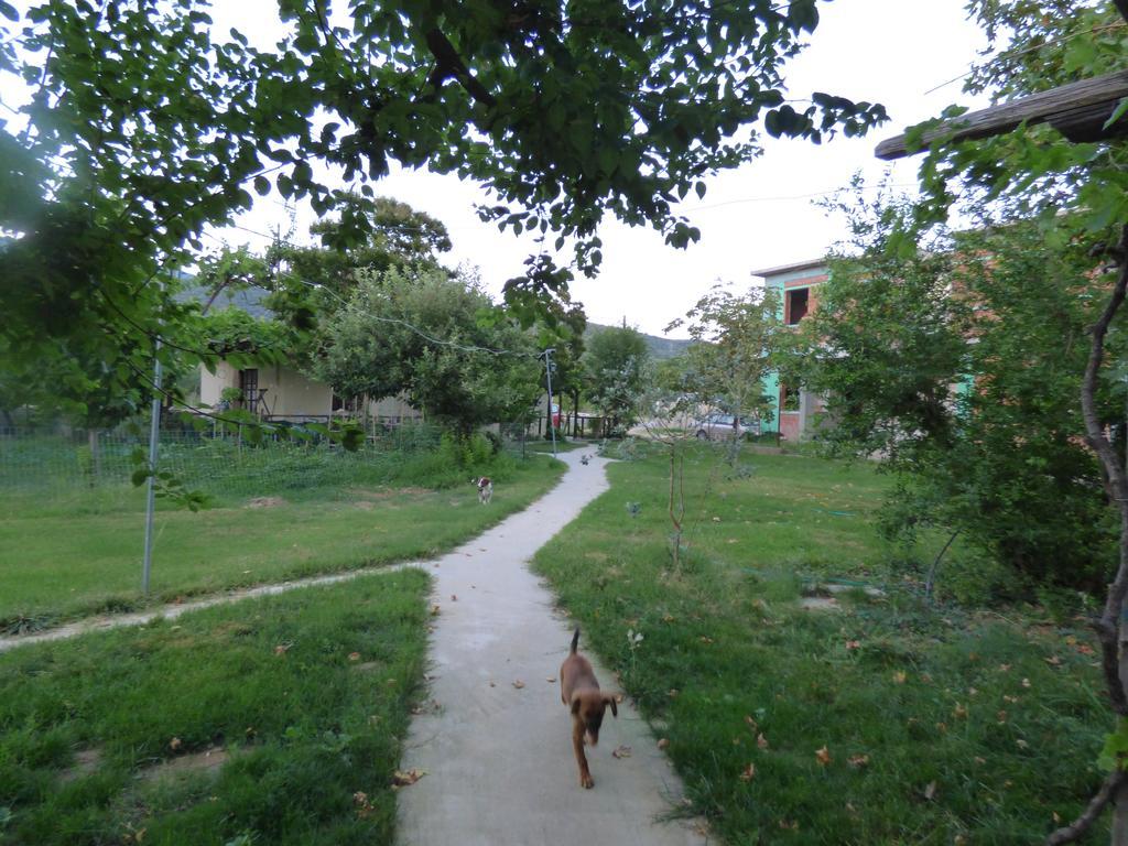 Apartment Isalos