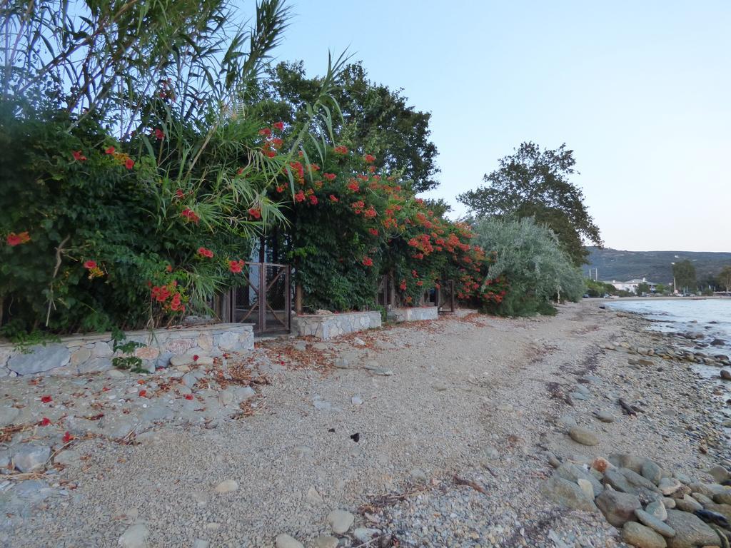 Isalos Koropi