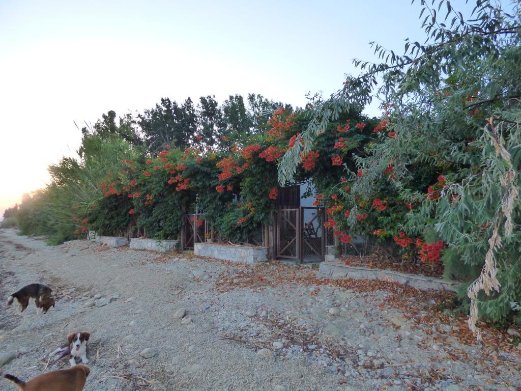 Isalos