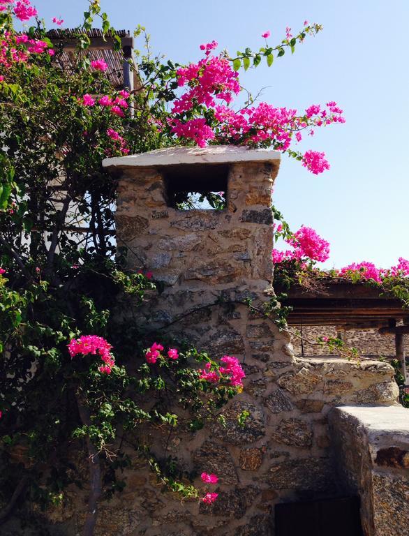 The House In The Field Kalo Livadi