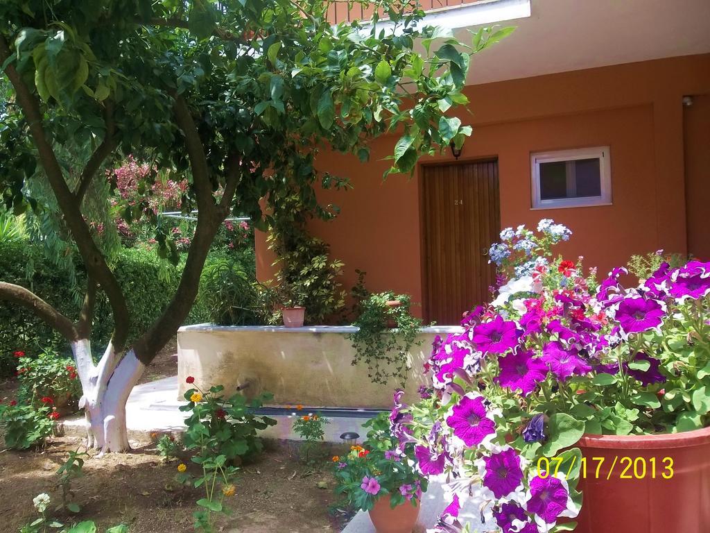 Aspa's Dassia (Corfu)