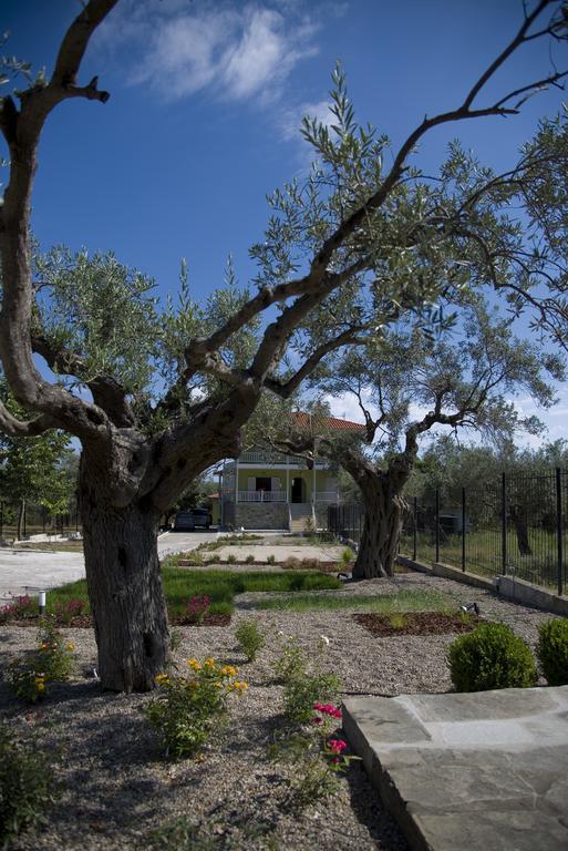 Olivegrove House