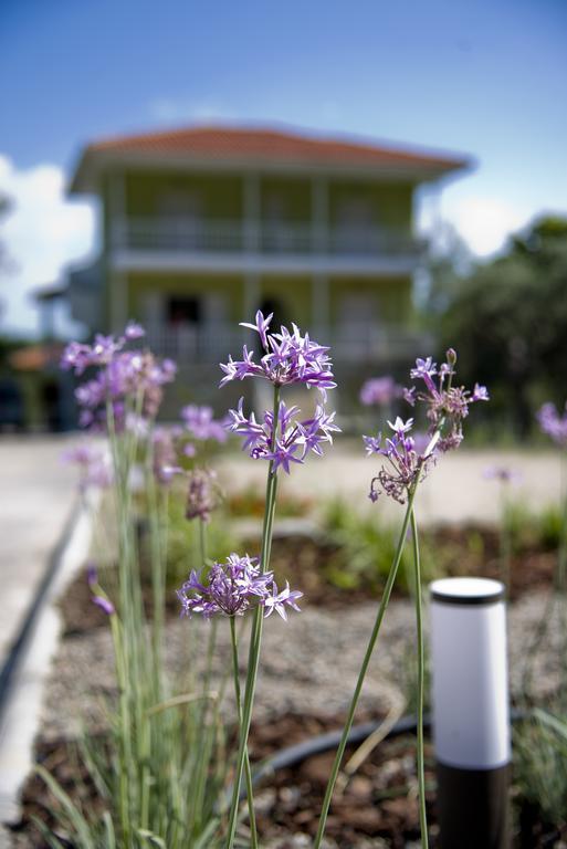 Olivegrove House