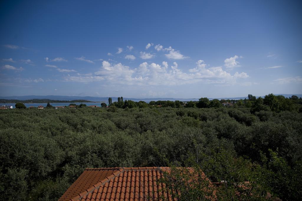 Olivegrove House Vourvourou