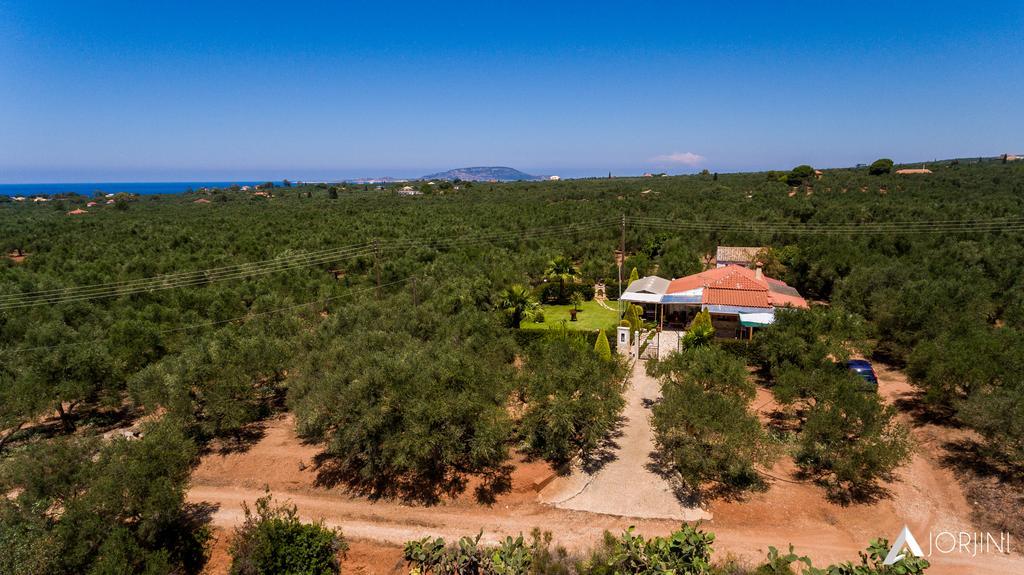 Holiday home Olives House