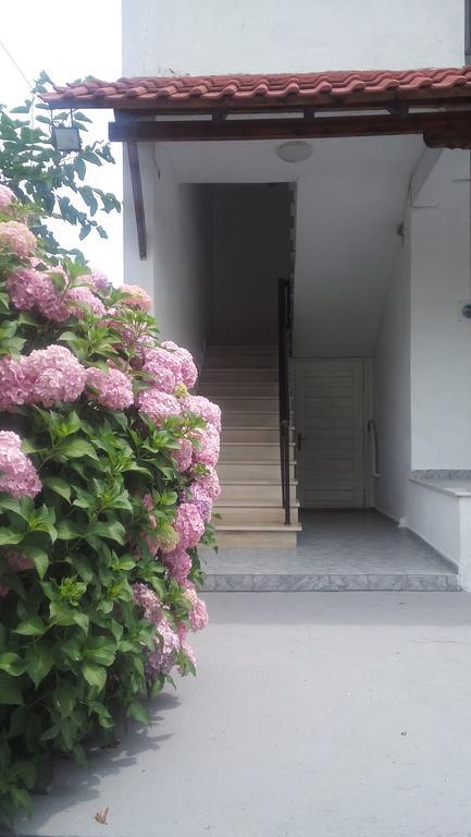 Apartment Georgoulas Paralia Skotinis