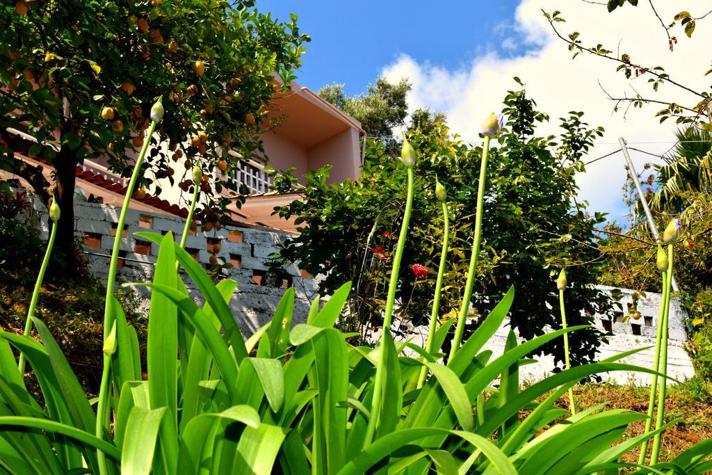 Apartment Eden Sea View *