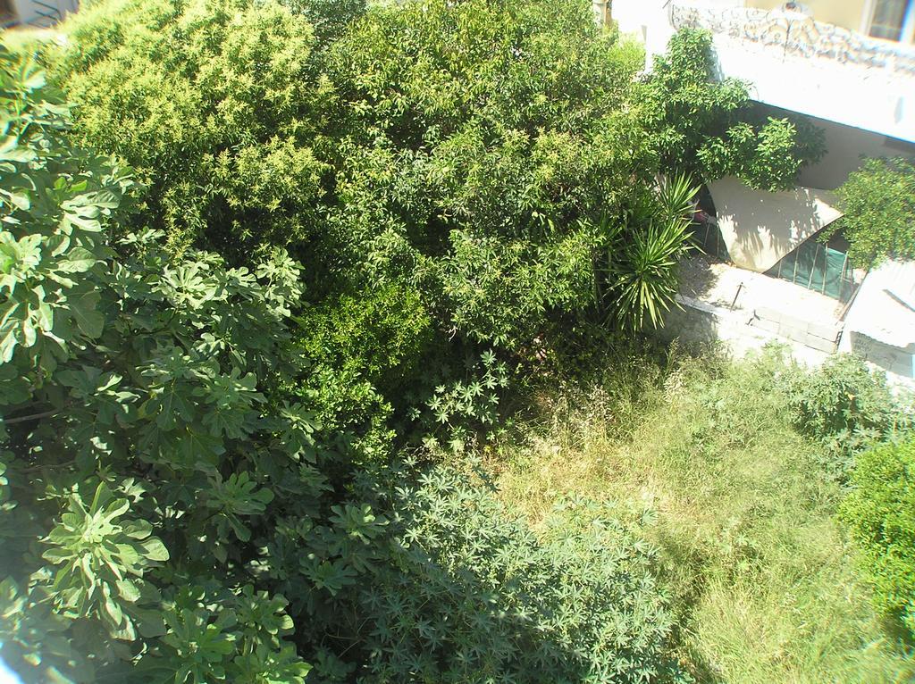 Center Near The Kos Town