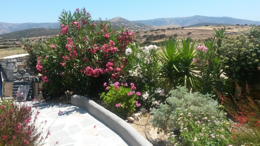 Apartment Haus Asterakia Aliko Beach