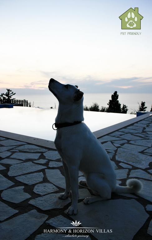 Villa Harmony And Horizon Athanion
