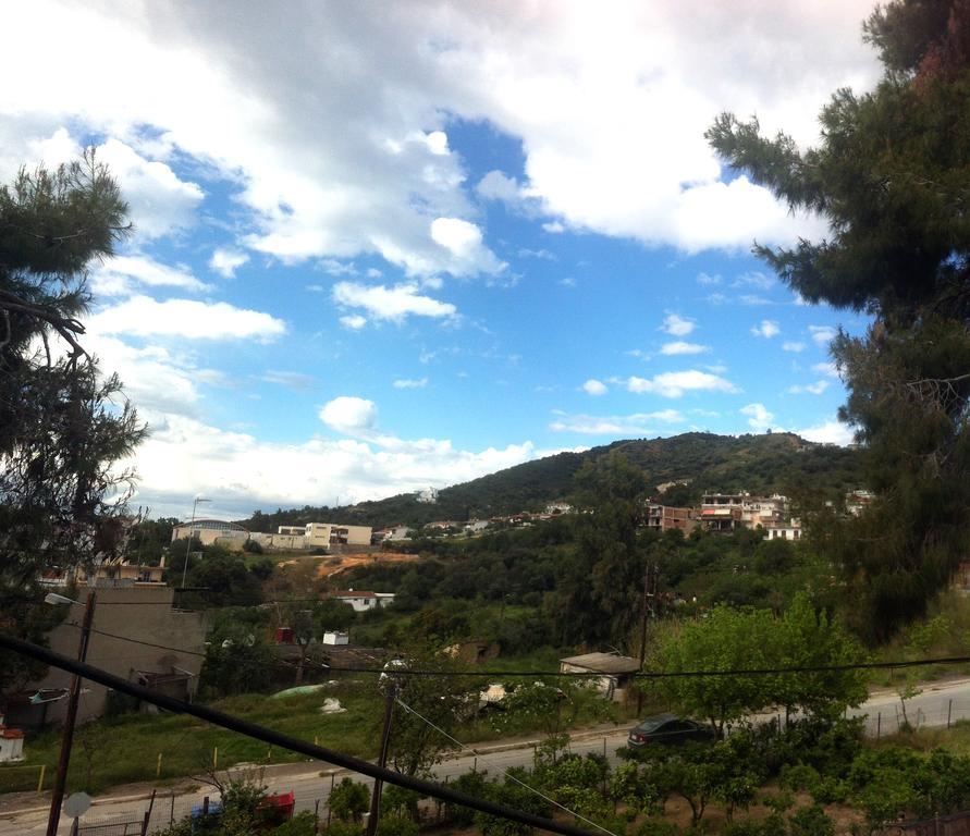 Apartment Dimitriou *