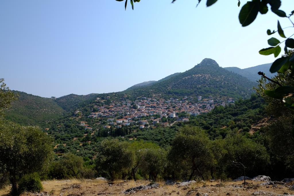 Apartment Ladanos Thassos Kallirakhi