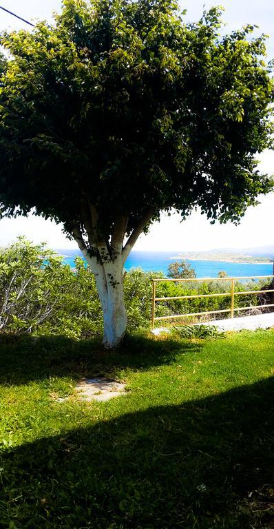 Panorama Marathi (Crete)