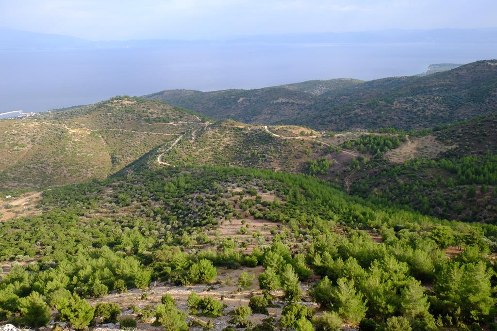 Ladanos Thassos Kallirakhi