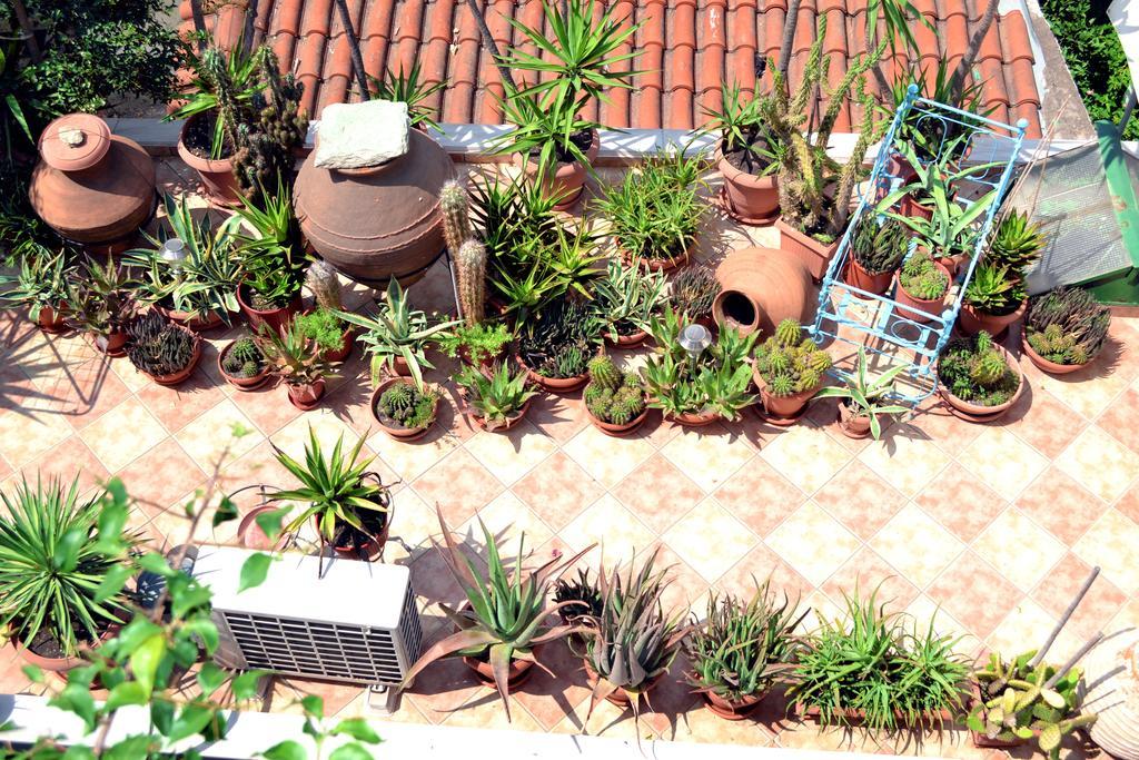 Guest house Aiolos House *