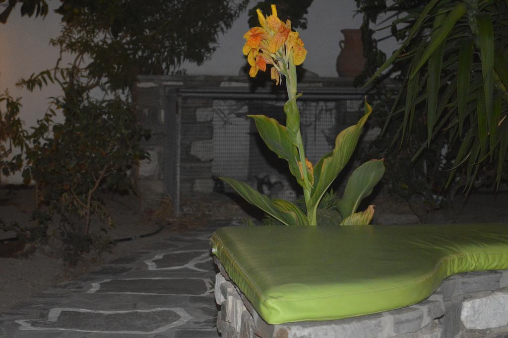 Guest house Pension Sofia Parikia (Paros)
