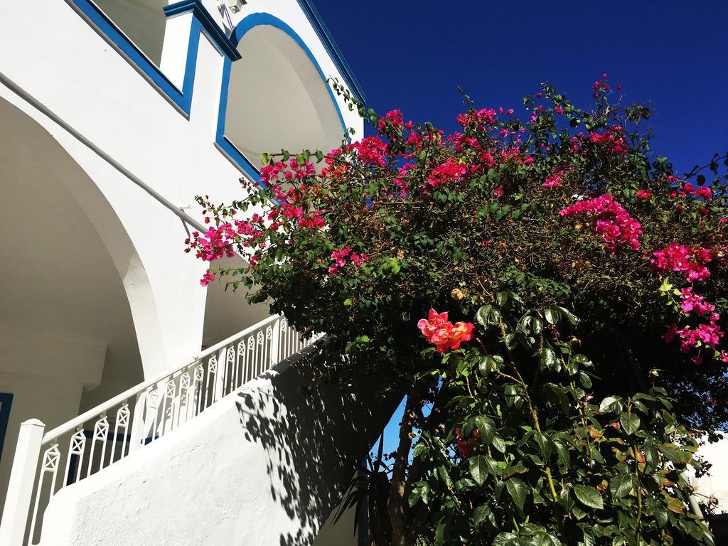 Hotel Lodos