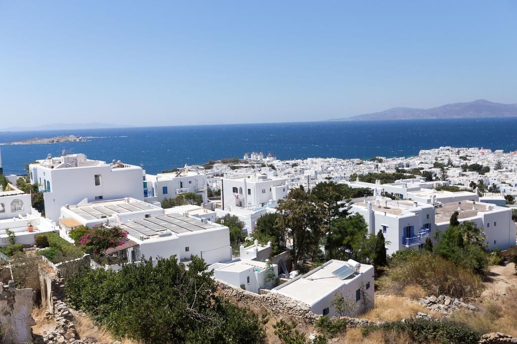 Hotel Ibiscus Boutique 3*