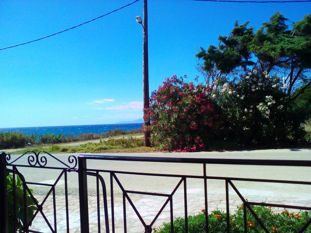 Apartment Galini Mytikas (Epirus)