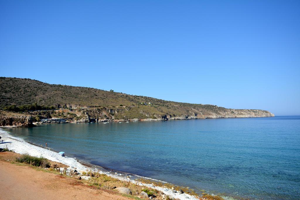 Guest house Olea 4*