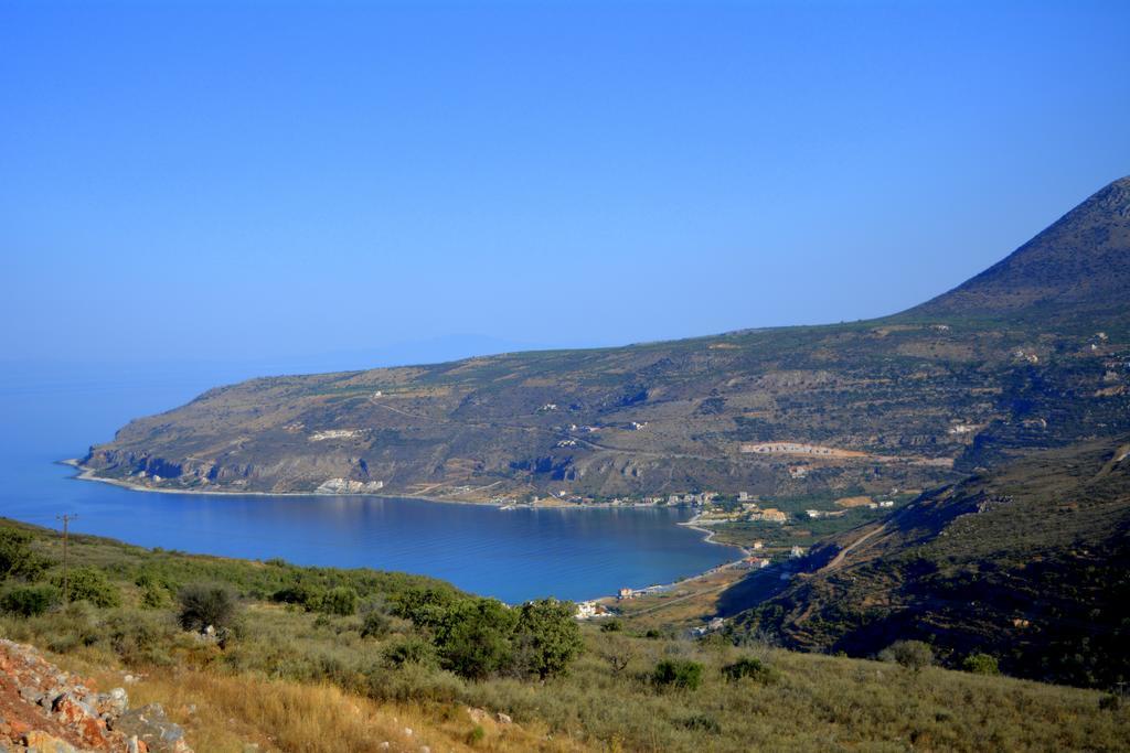 Olea Pyrgos Dirou