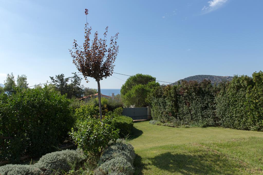 Nefeli Anavyssos