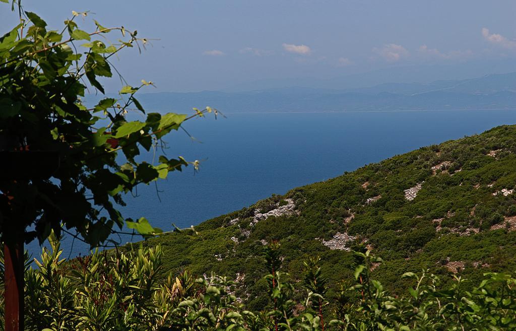 Ladanos Thassos