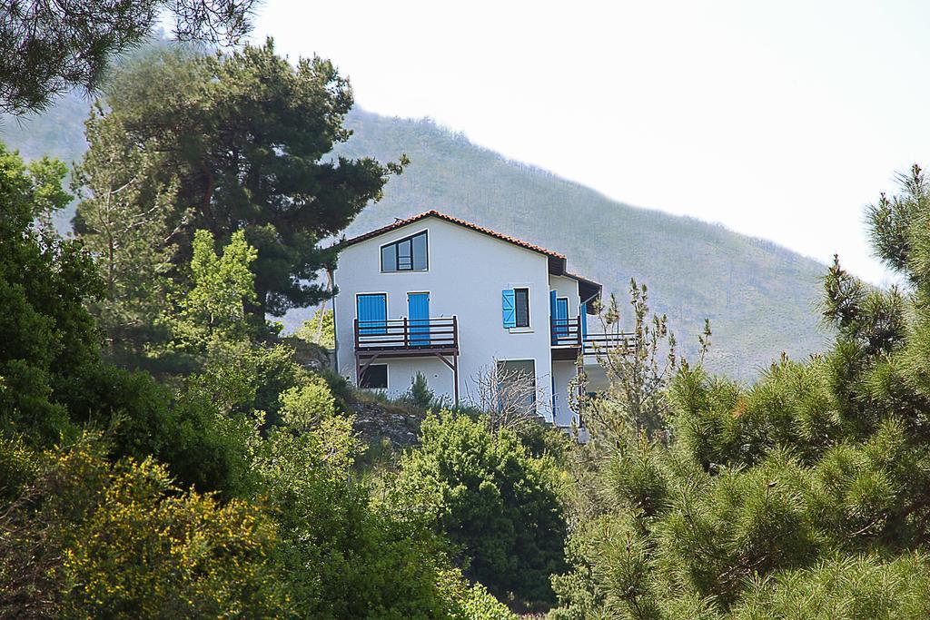 Apartment Ladanos Thassos *