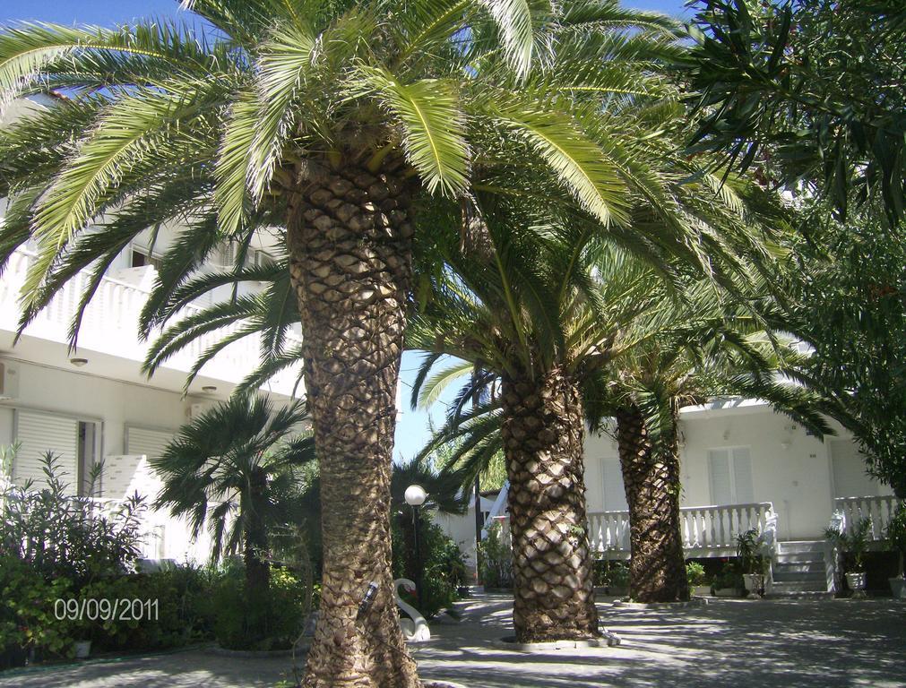 Apartment Daizy Boutique *
