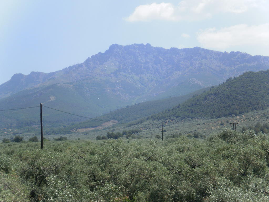 Thomi Skala Rachoni (Thasos)