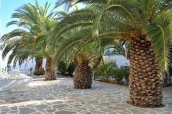 Hotel Narges Aliki (Paros)
