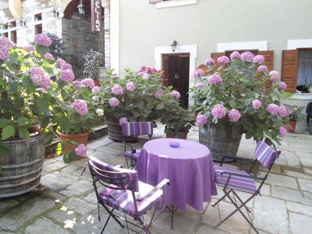 Hotel Filoxenia 2*