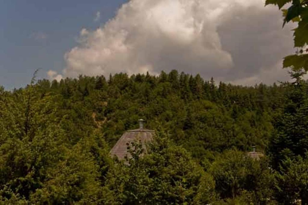 Theasis-igloo Lodge