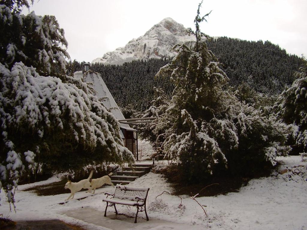 Theasis-igloo *