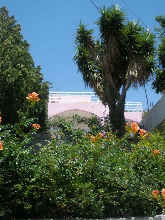 Camelia * Plakias