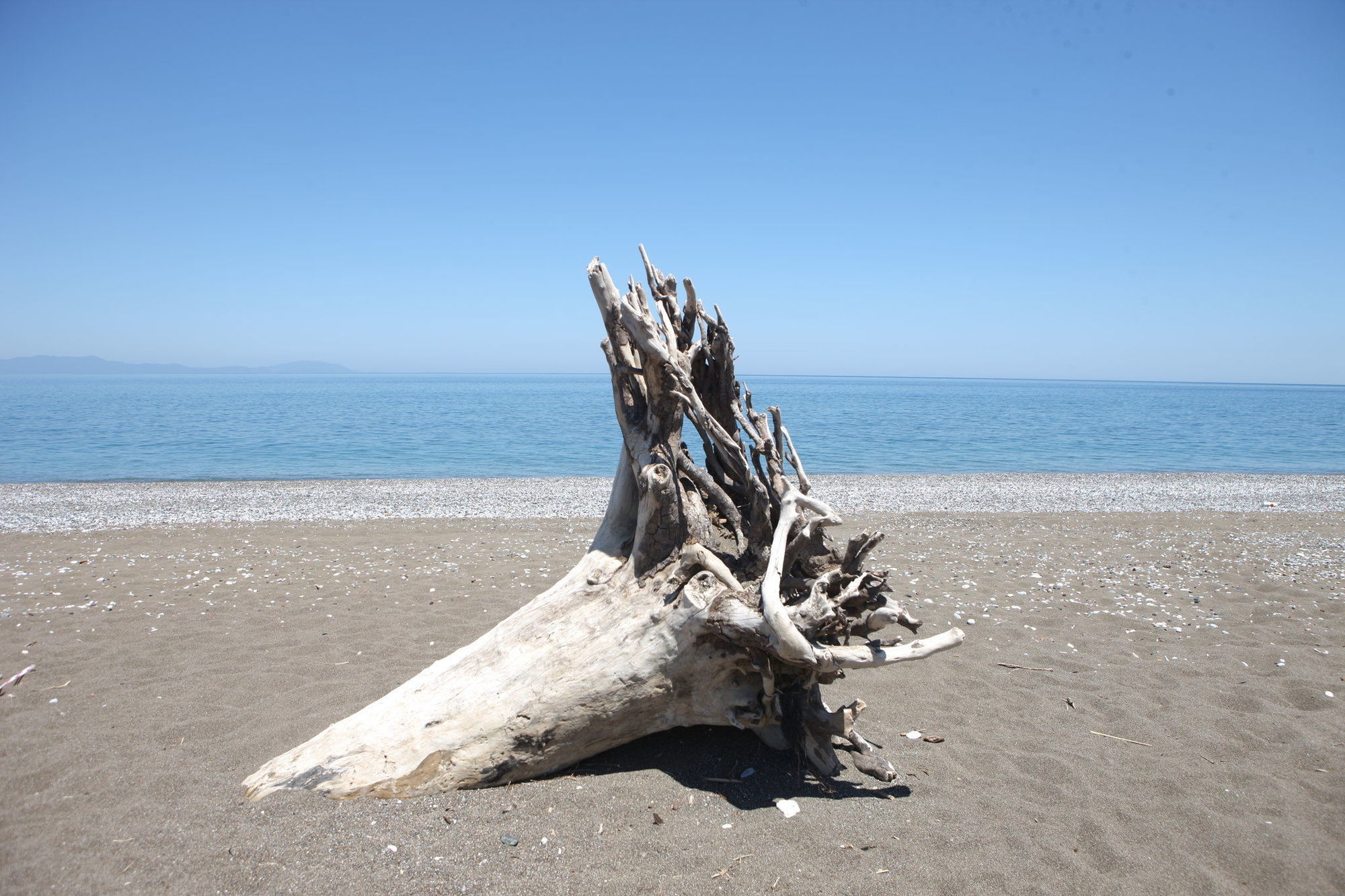 Hotel Thalatta Seaside Agia Anna (Evia)