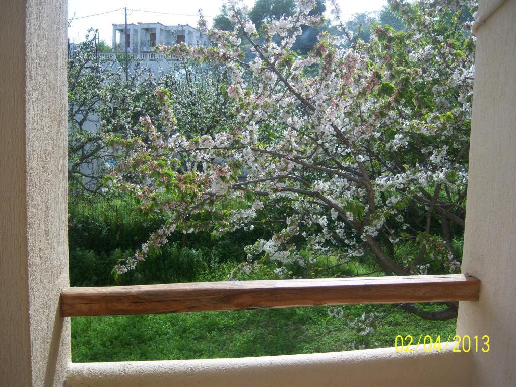 Yellow Stella Apartment Skopelos Town