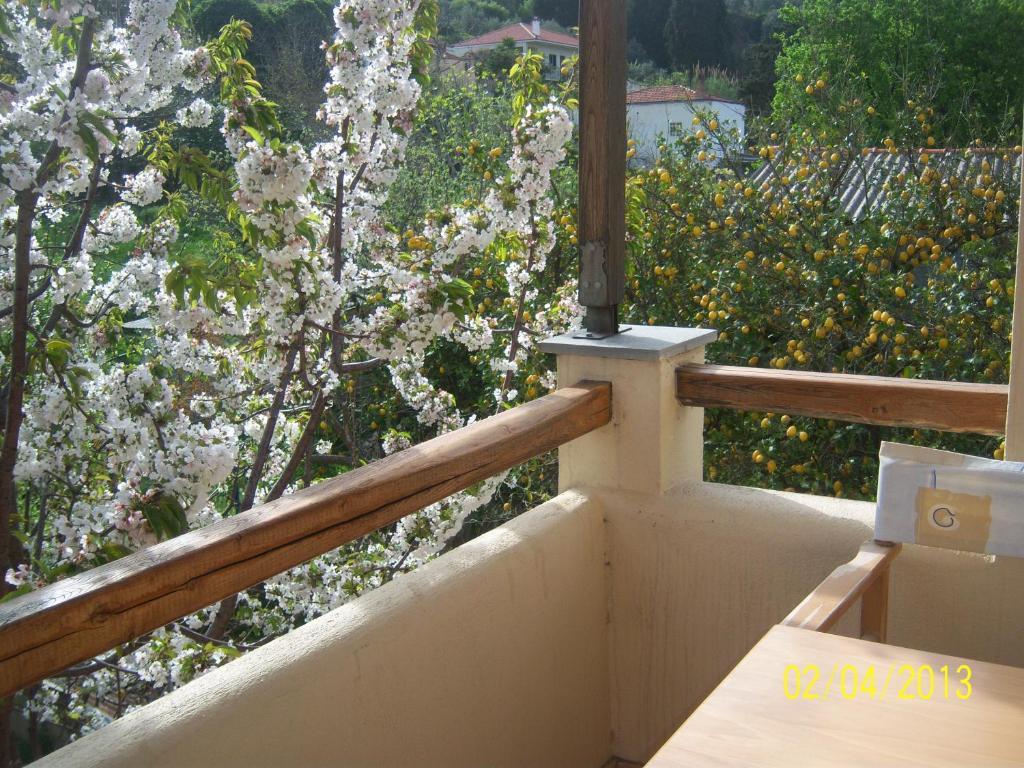 Apartment Yellow Stella Skopelos Town