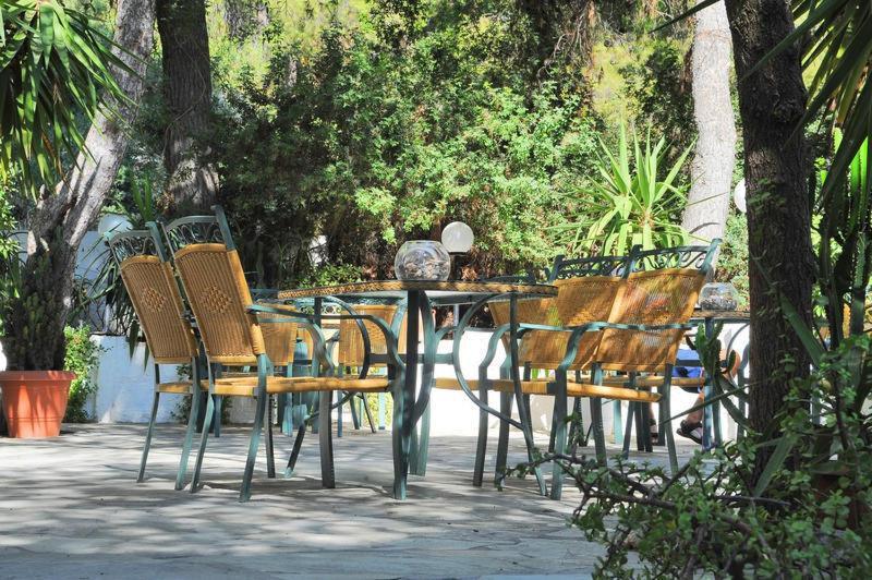 The Delfini Hotel