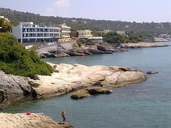 The Delfini Hotel 2*