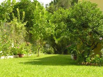 Aparthotel Aronda Dassia (Corfu)