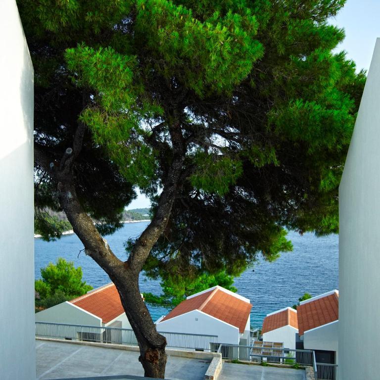 Hotel Adrina &
