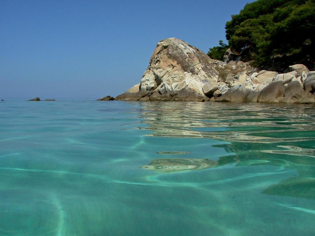 Karpetis A Paradise Apartment Psakoudia