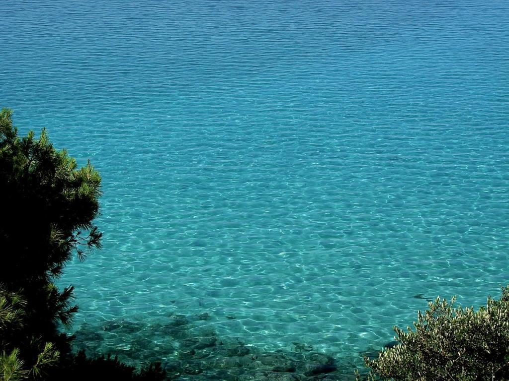 Apartment Karpetis A Paradise Psakoudia