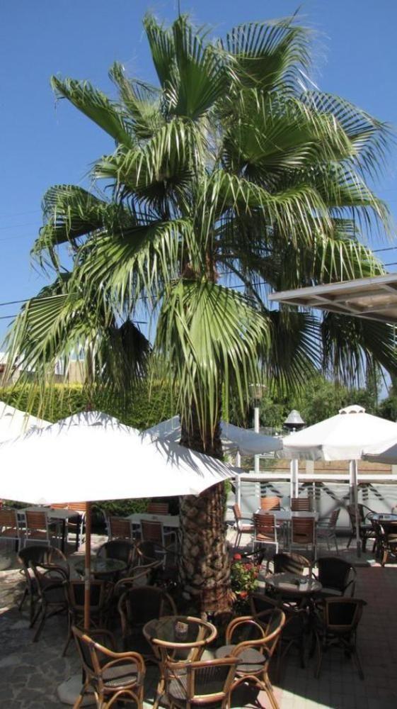 Aparthotel Valsami